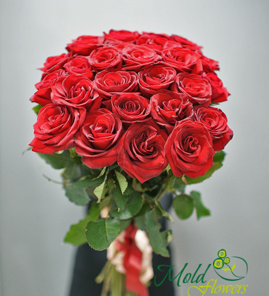 15 Red Dutch Roses, 60-70 cm photo 394x433